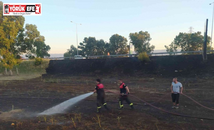 Otoban kenarındaki arazi yangını panikletti