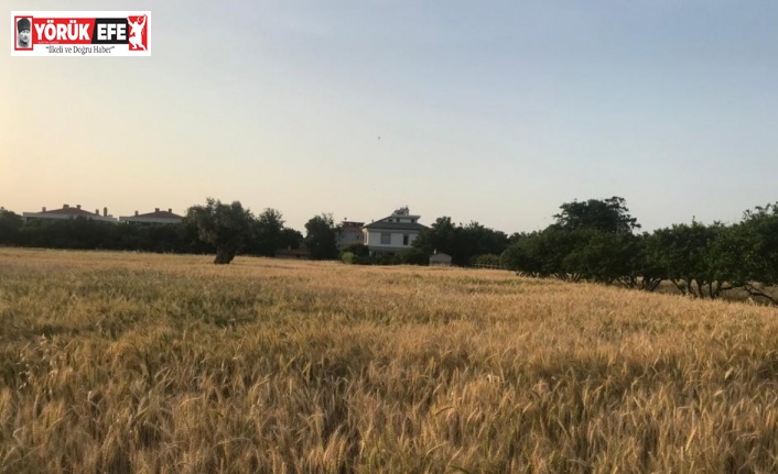 Para için değil örnek olmak için ekti