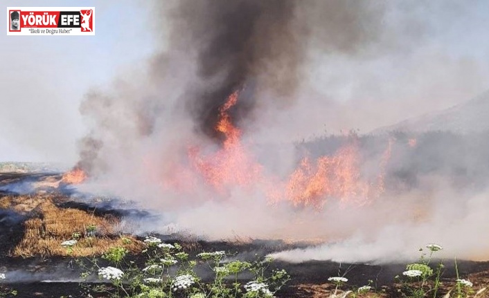 Söke İlçe Tarım Müdürlüğü’nden ’anız yakma’ uyarısı