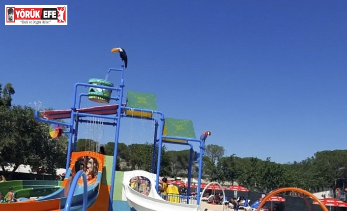 Aydın Tekstil Parkı, çocukların yeni gözdesi oldu