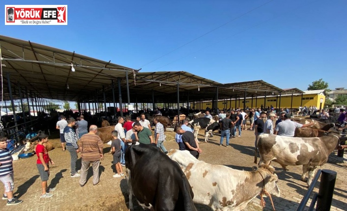 Aydın’da kurban pazarında arife günü yoğunluğu