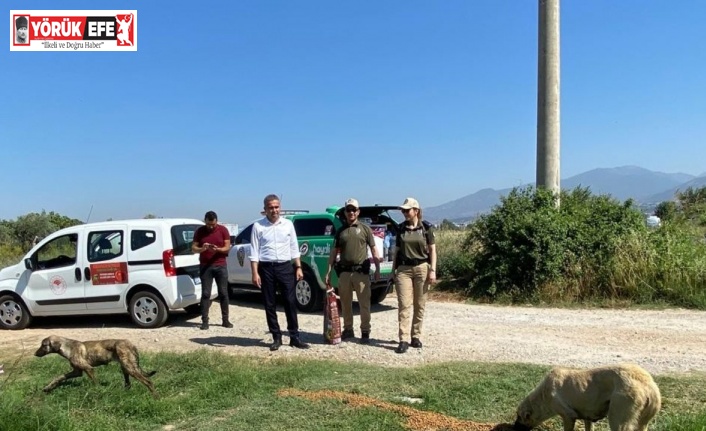 Aydın’da sokak hayvanları unutulmadı
