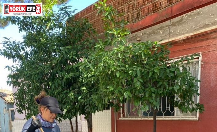 Buharkent Belediyesi bayram temizliğine başladı