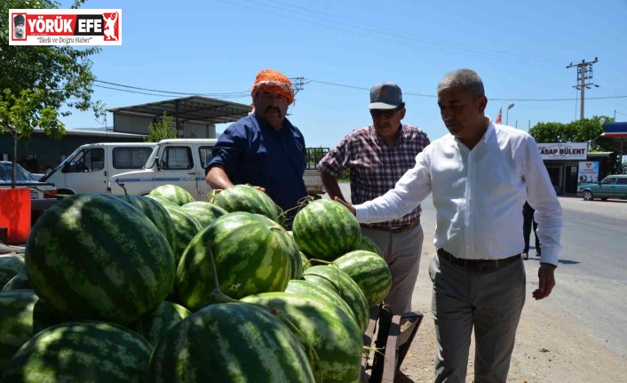 Cincin Karpuzu, tezgahlarda ki yerini aldı