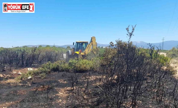 Didim’de orman yangını faciasının önüne belediye ekipleri geçti