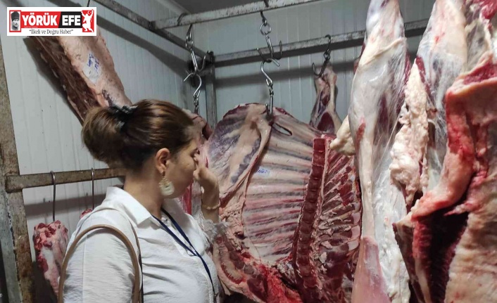 Kurban Bayramı öncesi kasaplar denetleniyor