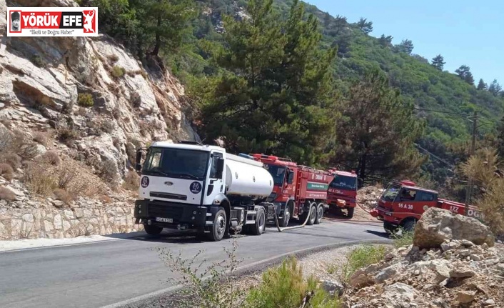 Nazilli Belediyesi’nden Datça’daki yangın bölgesine destek