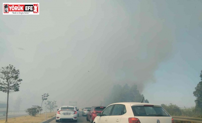 Yol kenarında çıkan yangın, sürücülere zor anlar yaşattı