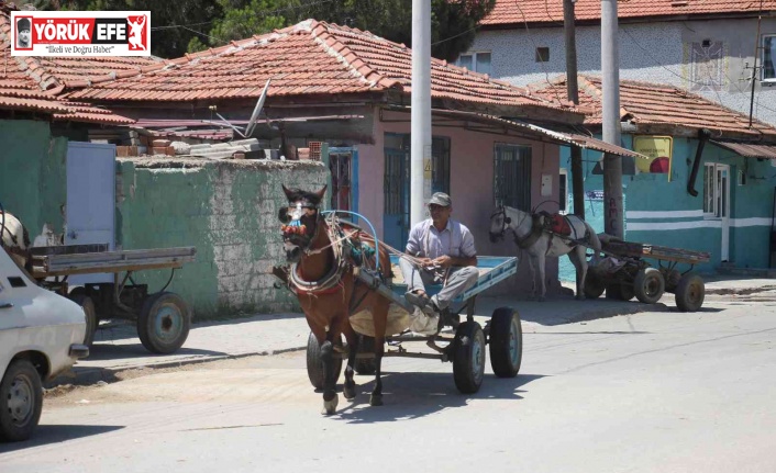 Acarlar’da at arabacılarının zorlu yaşam mücadelesi sürüyor