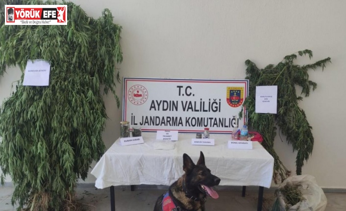 Aydın’da 1 haftada 7 uyuşturucu taciri tutuklandı