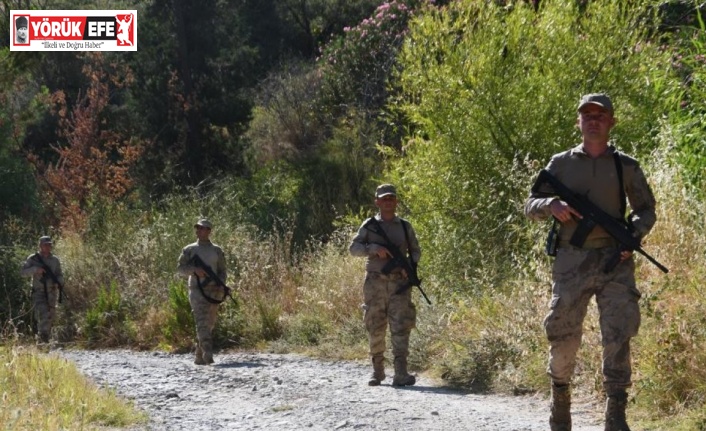 Aydın’da orman yasağı ihlallerine 94 bin lira ceza kesildi