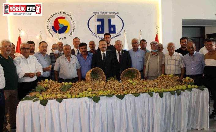 Aydın’da sezonun ilk kuru inciri 350 liradan satıldı