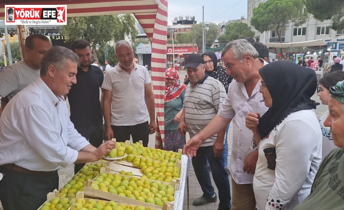 Buharkent’te vatandaşlara 2 ton taze incir dağıtıldı