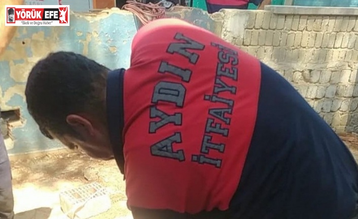 Çukura düşen yavruları, itfaiye kurtardı