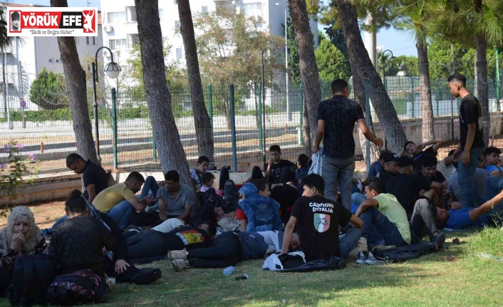 Didim’de 97 göçmen kamyonet kasasında yakalandı