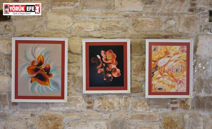 Doğadan Güzellikler isimli karma resim sergisi İbramaki Sanat Galerisi’nde açıldı