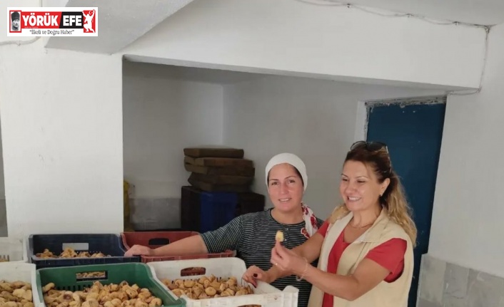 Efeler’de incir depoları denetimi başladı