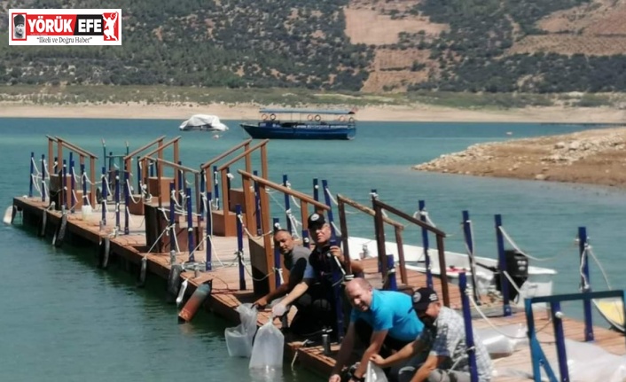 Kemer Barajı’na 150 bin balık bırakıldı