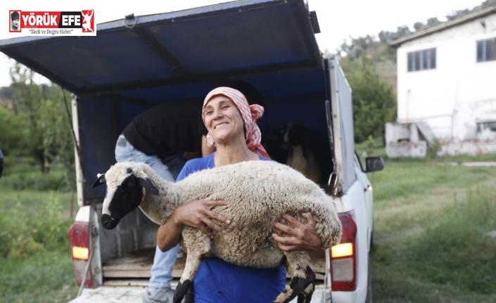 Koyunları telef olan kadın çobanın imdadına Başkan Çerçioğlu yetişti