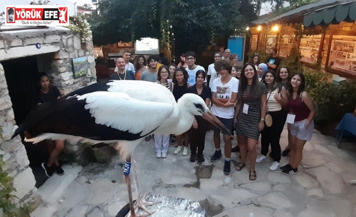 Ölmek üzereyken bulunan leylek yavrusu sağlığına kavuştu