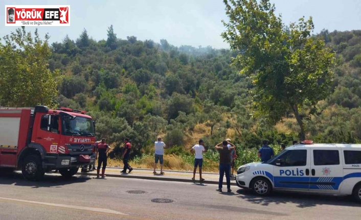 Söke’deki yangın kısa sürede kontrol altına alındı: 3 dönümlük arazi zarar gördü