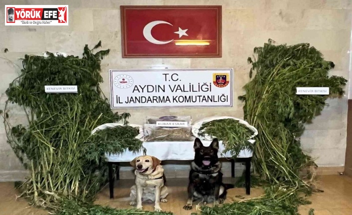 Aydın İl Jandarma Komutanlığı uyuşturucuya geçit vermiyor