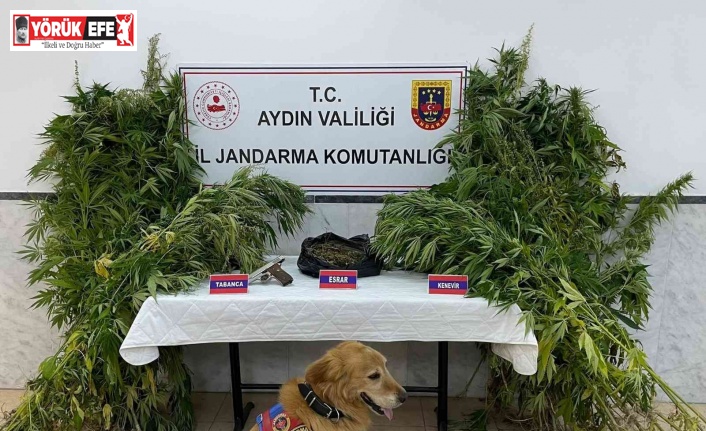 Aydın’da bir haftada 6 uyuşturucu taciri tutuklandı