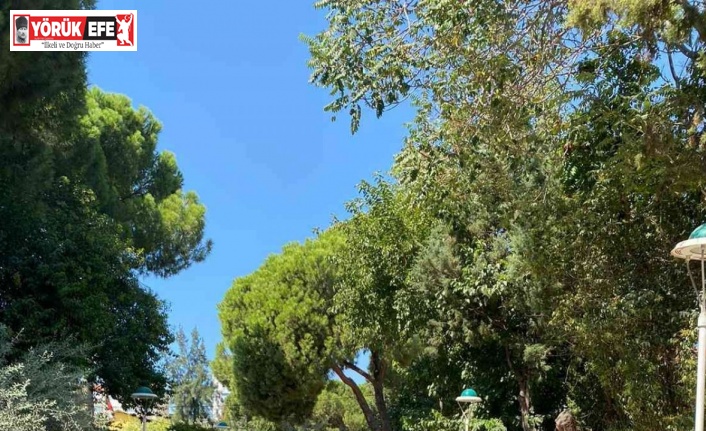 Aydın’da narkotik polisinden okul çevrelerinde sıkı denetim