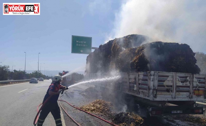 Aydın’da samanlı yüklü tır alev aldı