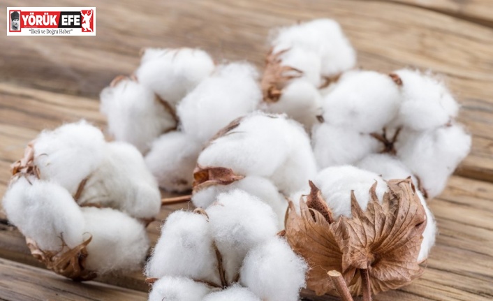 Başkan Özer, pamuk primi desteklemelerinin artırılmasını istedi
