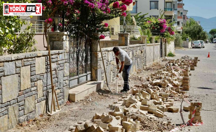 Didim Belediyesi, kent genelinde çalışmalarını sürdürüyor