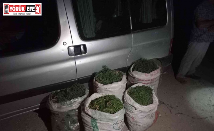 Didim’de 100 kilogram deniz börülcesi ele geçirildi