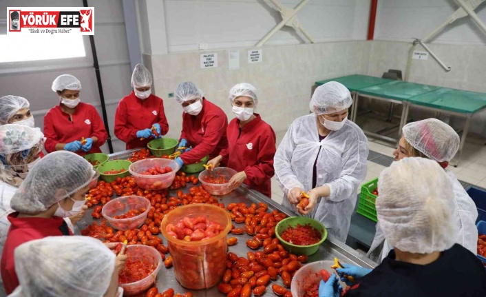 Efeler Belediyesi’nin fabrikasında ürünler çeşitleniyor