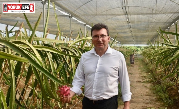 Kaymakam Şahin’in son projesi “Efeler Kekik Kokuyor” oldu