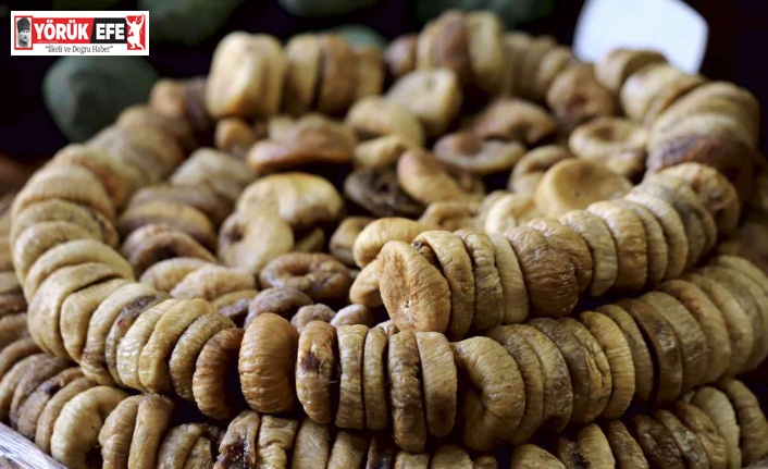 Kuru incirde ilk gemi tarihi 7 Ekim oldu