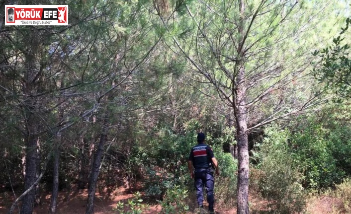 Kuşadası jandarmasından ormanlara sıkı denetim