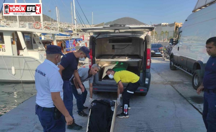 Kuşadası’nda Türk karasularına itilen düzensiz göçmenler yakalandı