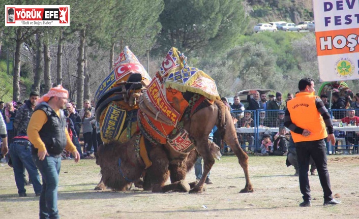 Sezonun ilk güreşi Umurlu’da yapılacak