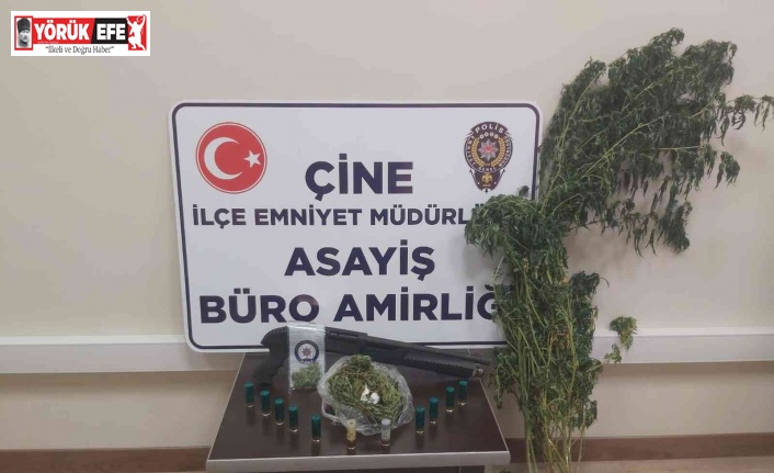 Yetiştirdiği hint kenevirini sularken yakalandı