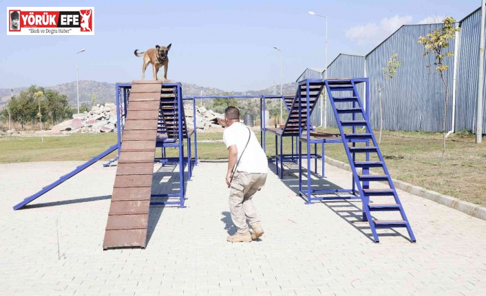 Aydın Büyükşehir Belediyesi’nin arama-kurtarma köpeği ’Zeyna’ mezun oldu