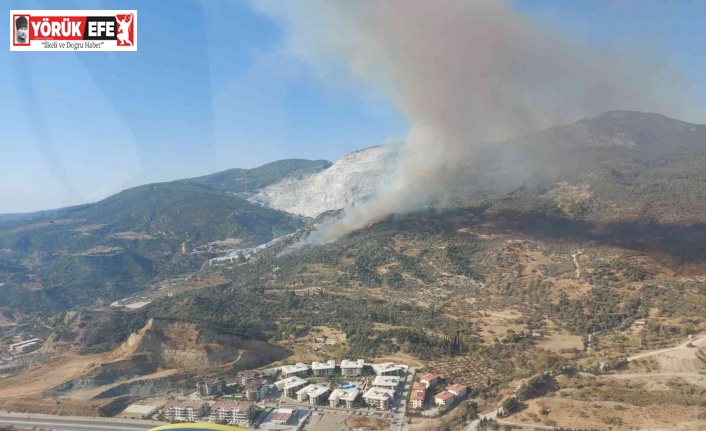 Aydın’da makilik ve zirai alanda yangın