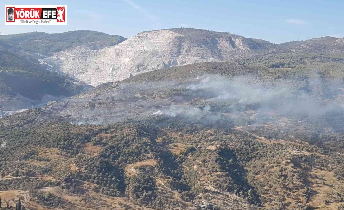 Aydın’da makilik ve zirai alandaki yangın kontrol altına alındı