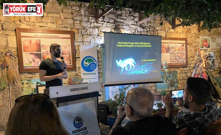 Aydın’da nesli tehlike altında olan Saz Kedisi konuşuldu