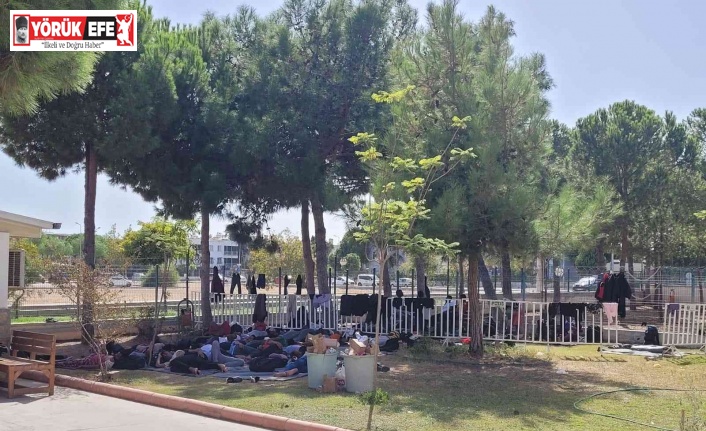 Didim’de 50 düzensiz göçmen yakalandı