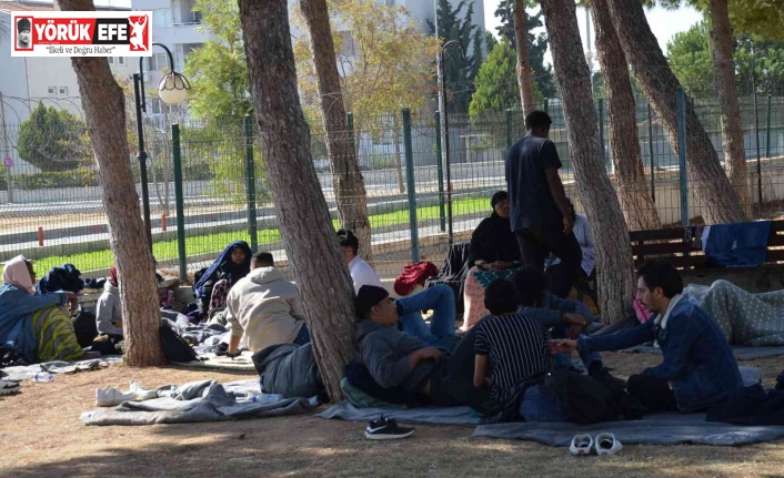 Didim’de 53 düzensiz göçmen yakalandı