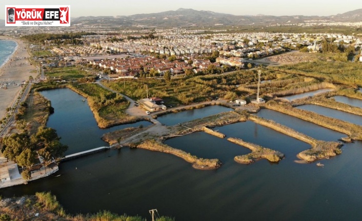 Doğaseverler Kocagöl’e dikkat çekti