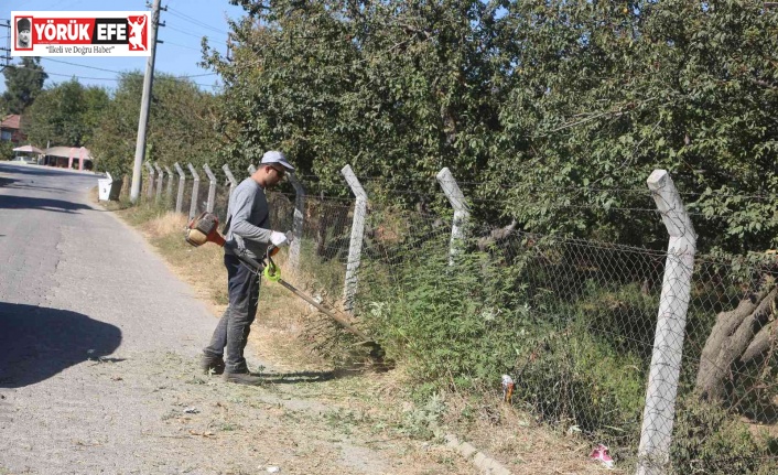 Efeler’de yabani ot temizliği