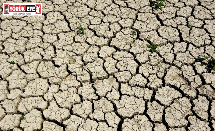 Ege, son 20 yılın en kurak sezonunu yaşıyor
