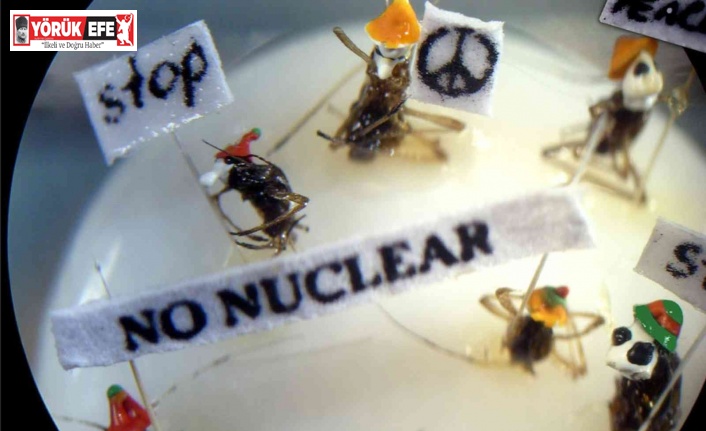 Kruvaziyer turistlerinin yeni rotası Mikro Minyatür Müzesi oldu