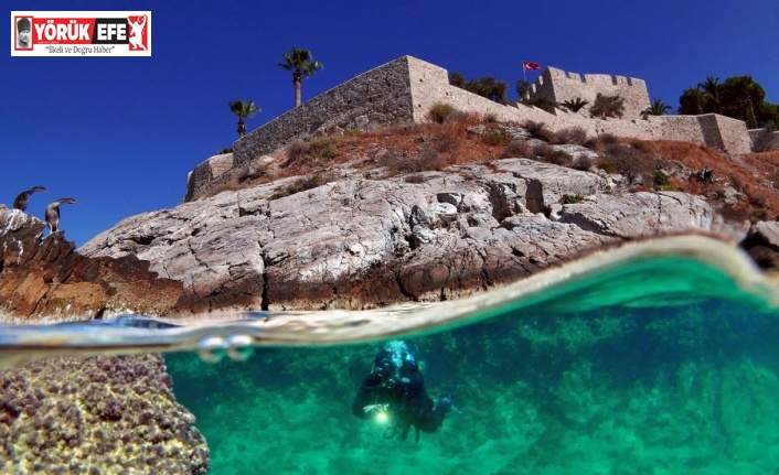 Kuşadası Belediyesi Deniz Canlıları Tanıtım Merkezi kuruyor